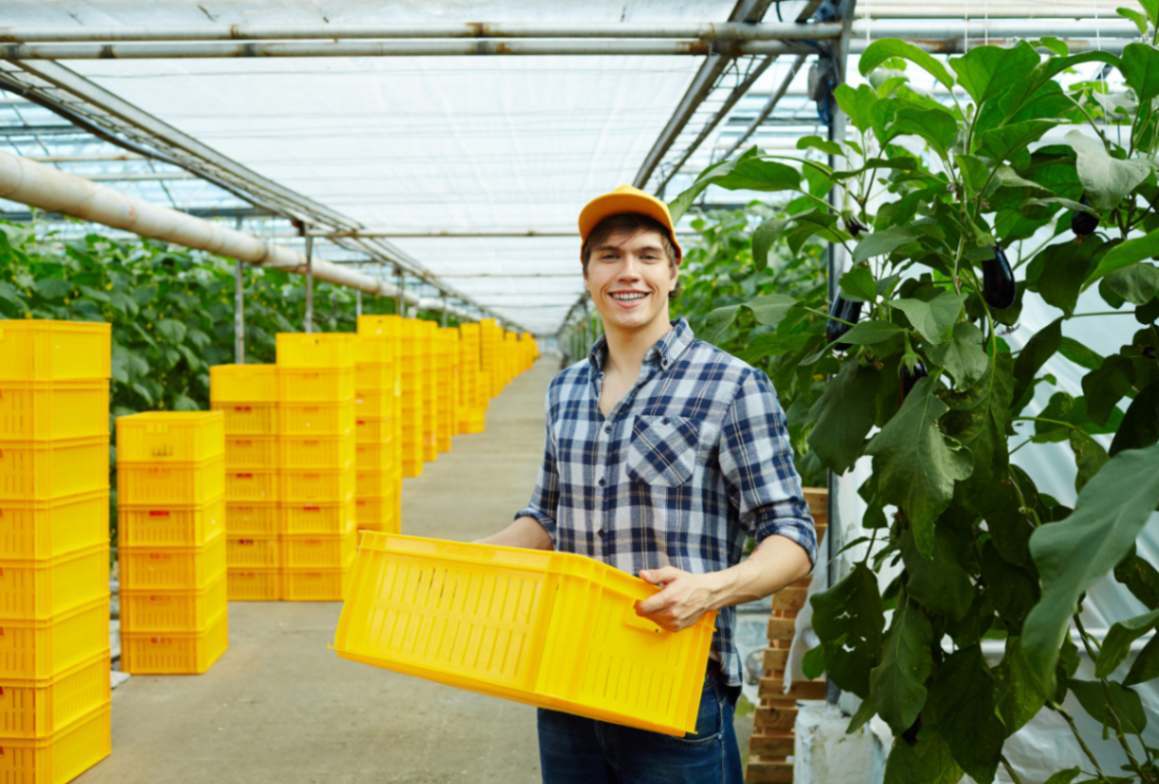 Cold Storage Solutions for Agro Export Businesses in Nepal