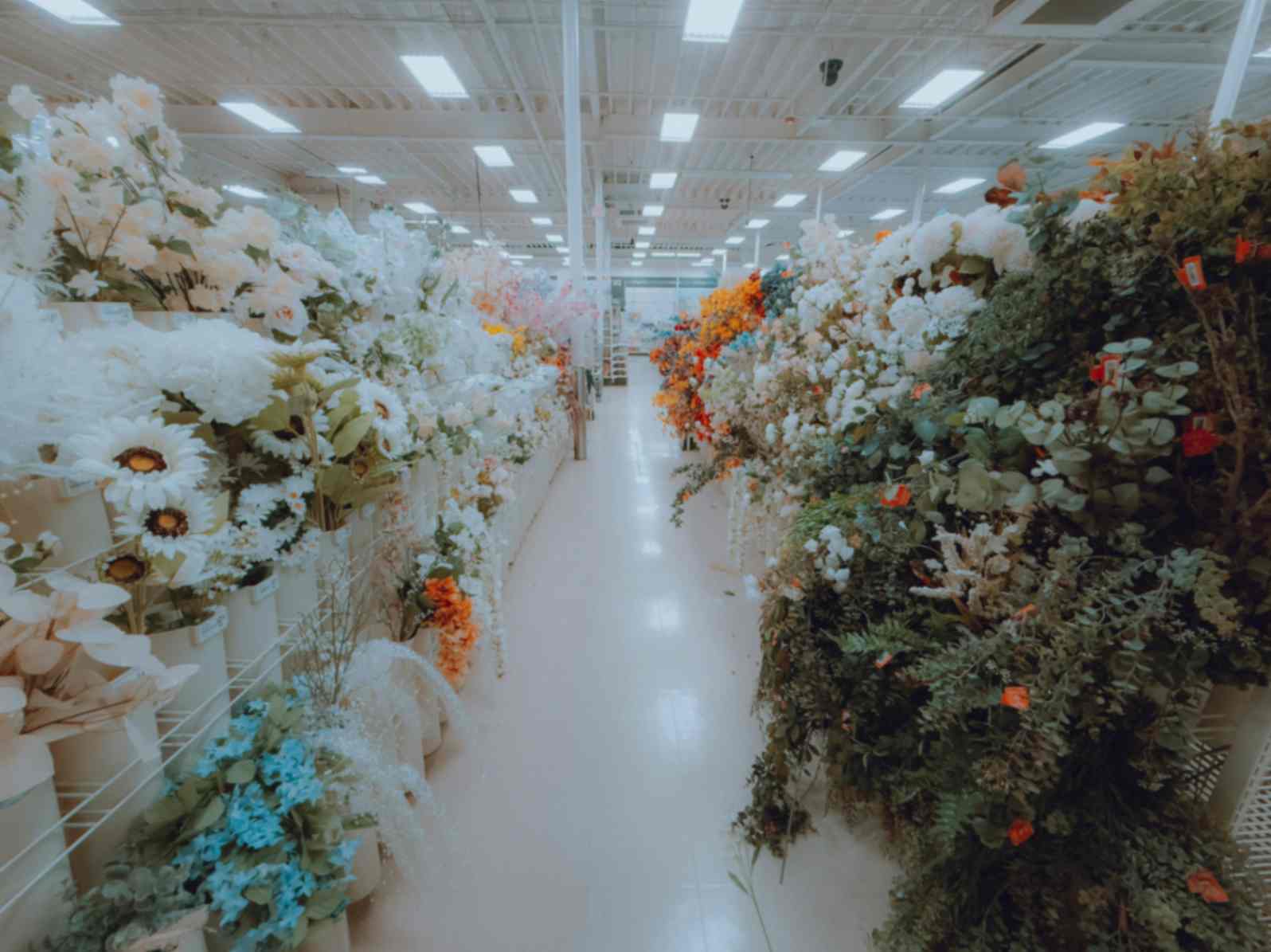 Cold storage for flower & floriculture businesses in Nepal
