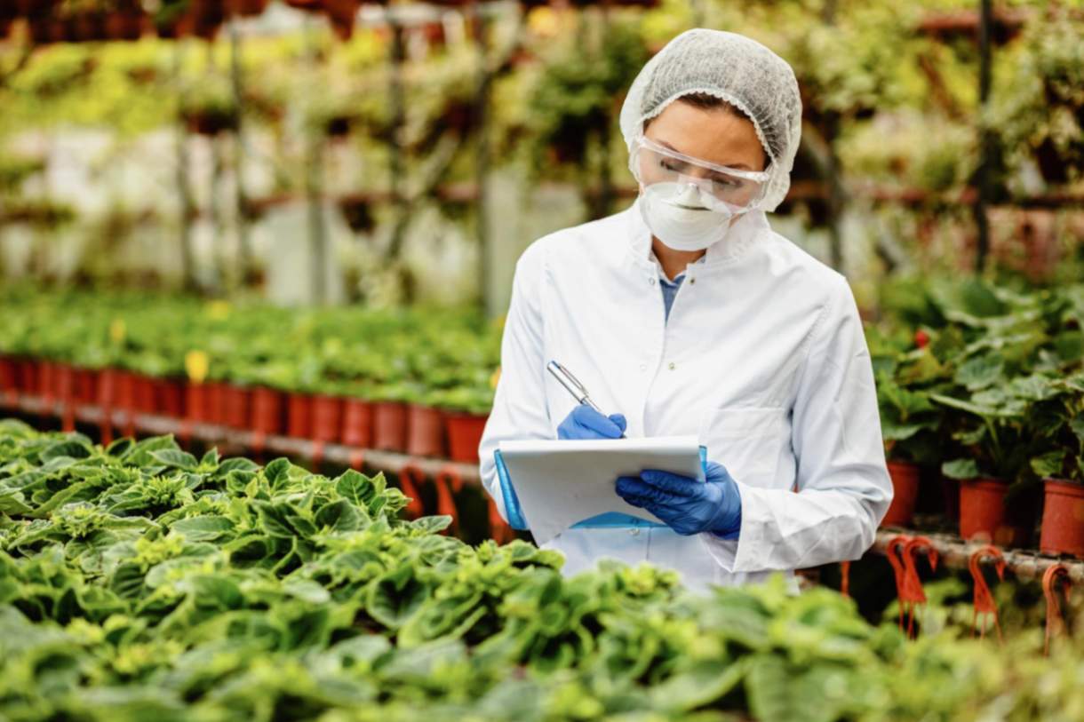 HACCP and Cold Storage Business In nepal