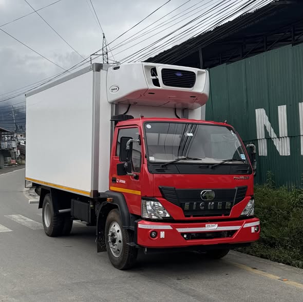 Ice-cream Transport Reefer Truck Manufactured by Nepcool
